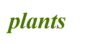 plants-logo-0e844d3e