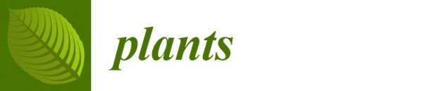 plants-logo-0e844d3e