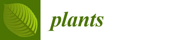 plants-logo-0e844d3e