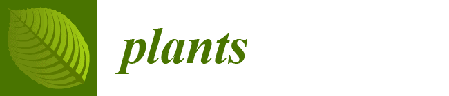 plants-logo-845ecf37