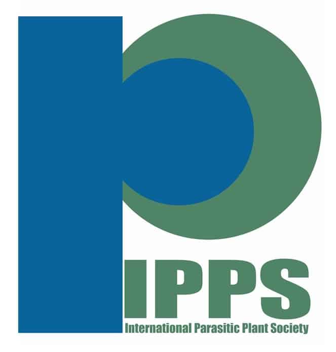 logo IPPS square-5339a922