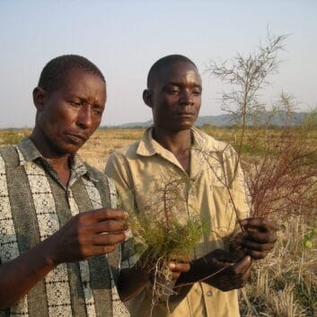 Farmers-Tz-with_Rhamphicarpa copy