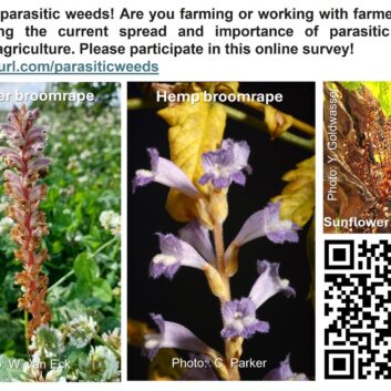 Promo-PWsurvey-EN-new2-lowres