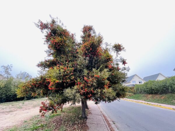 note1